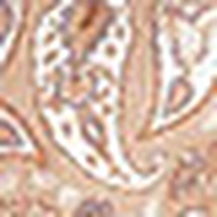 ペイズリー柄ブラウザー, , swatch