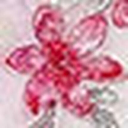 Ｔバックショーツ, , swatch