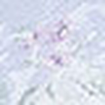 ノンワイヤーブラ, , swatch