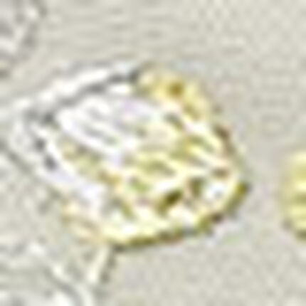 ショーツ, , swatch