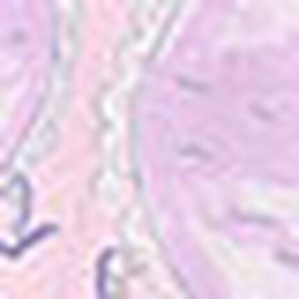 パジャマ, , swatch