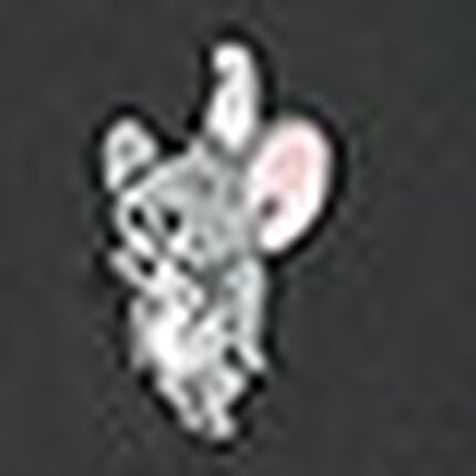 ワンピース, , swatch