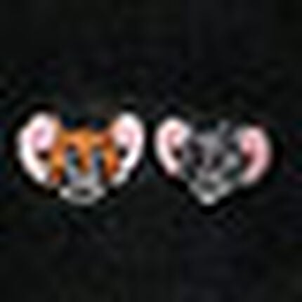 セットアップ, , swatch