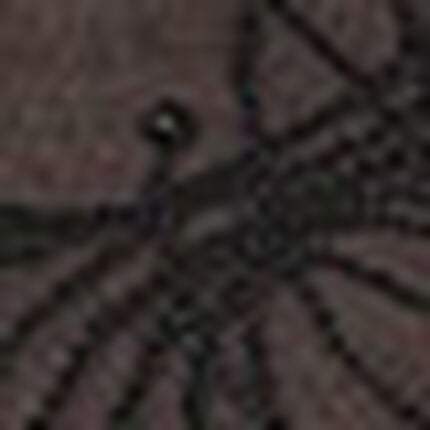 ショーツ, , swatch