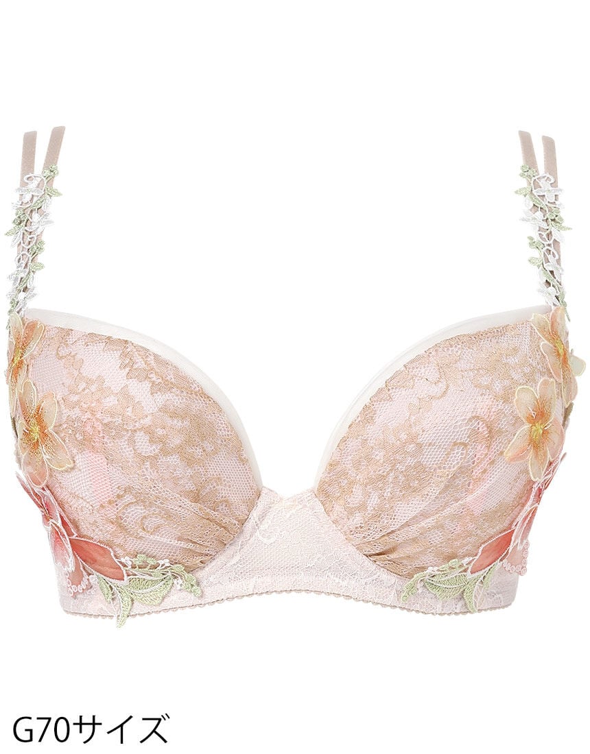 ワイヤーブラ（３／４カップ）, , hi-res