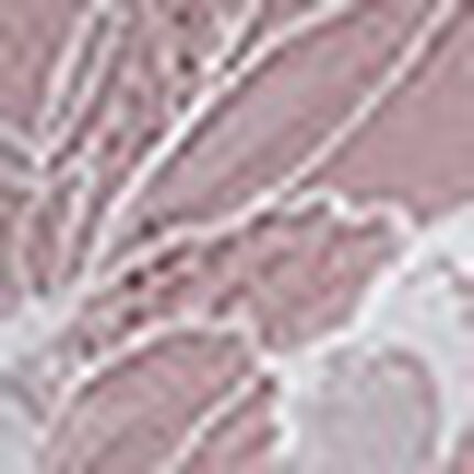 ブラジャー, , swatch