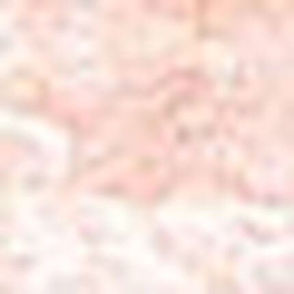 ショーツ, , swatch