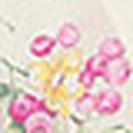 パジャマ, , swatch
