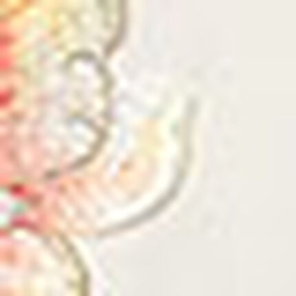 スリップ, , swatch