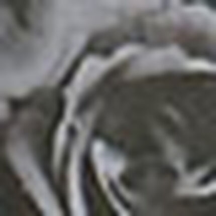 メンズボクサーパンツ, , swatch