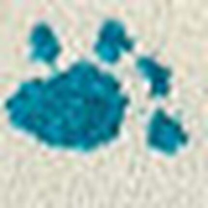 ボトムス（足首丈）, , swatch