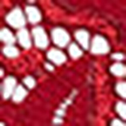 ノンワイヤーブラ, , swatch