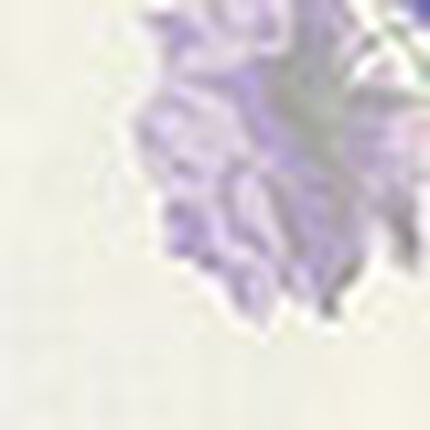 パジャマ, , swatch