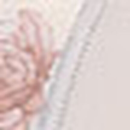 ガードル（ロング丈）, , swatch