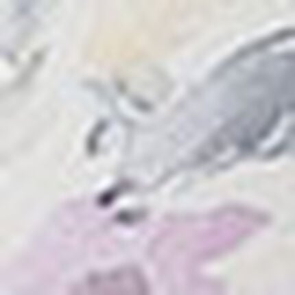 ハーフトップ, , swatch