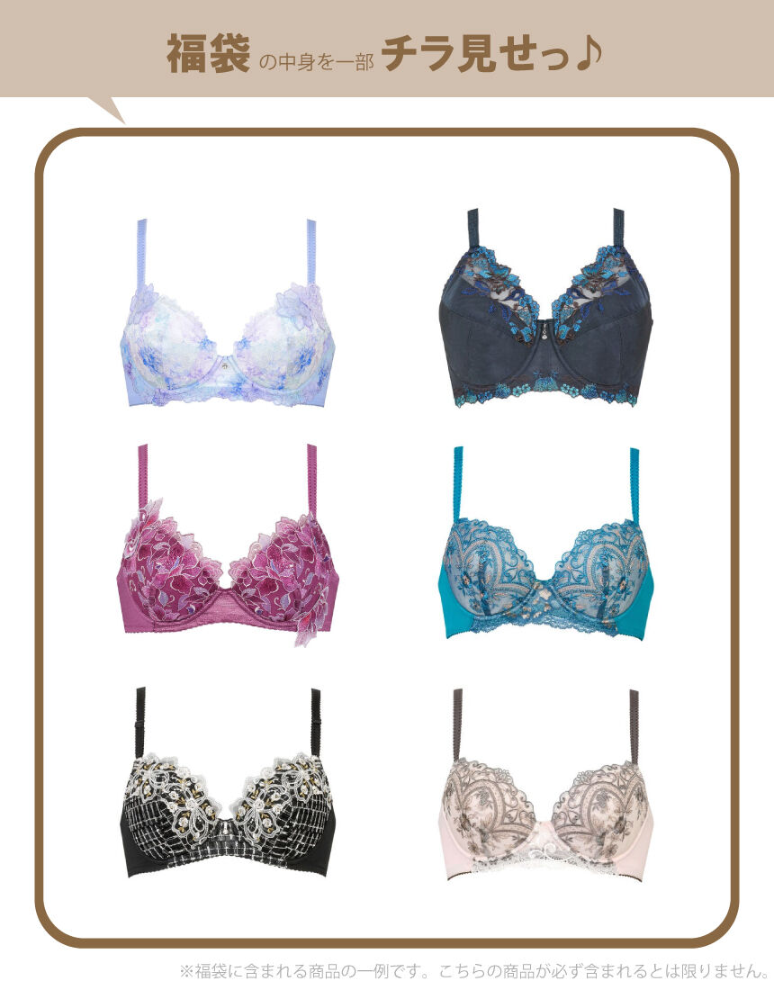 ウイング／レシアージュ ブラジャー3枚セット ブラジャー PB9860