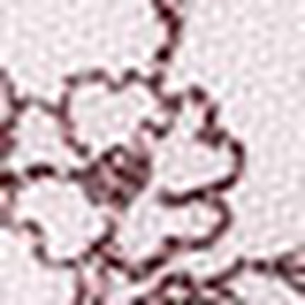 ３／４カップブラ, , swatch