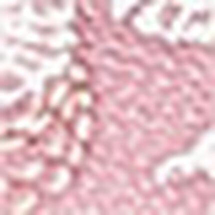 ブラ＆ショーツセット, , swatch