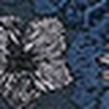 ショーツ, , swatch