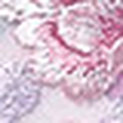 ショーツ, , swatch