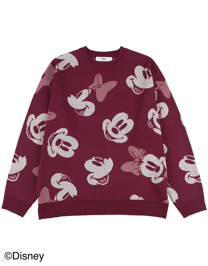 Lingè Noël ランジェノエル ミッキー＆ミニー・101匹わんちゃん総柄