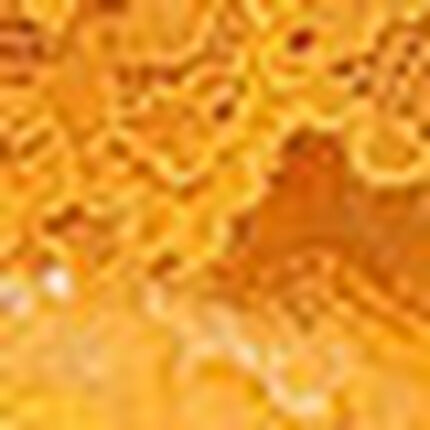 Ｔバックショーツ, , swatch