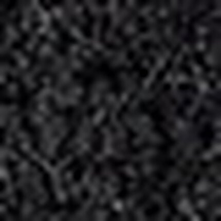 ショーツ, , swatch