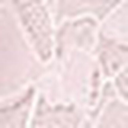 ショーツ, , swatch