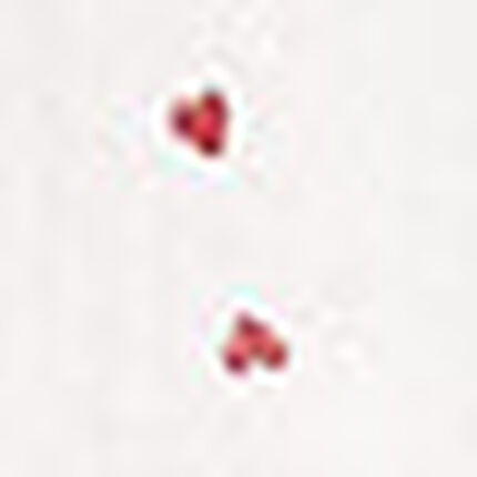 パジャマ, , swatch