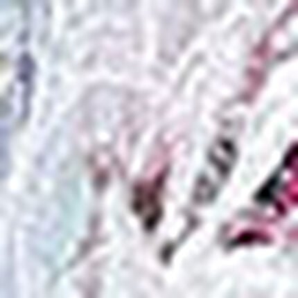 ３／４カップブラ（ノンワイヤーブラ）, , swatch