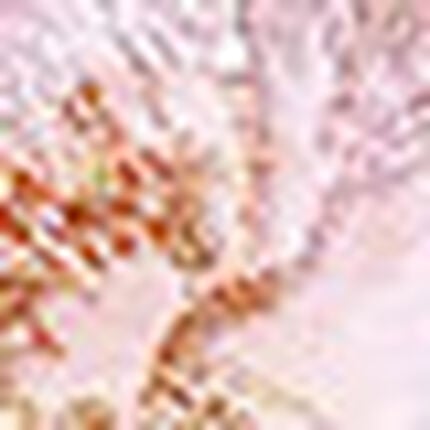 レディスショーツ, , swatch