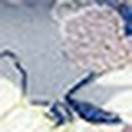 Ｔバックショーツ, , swatch