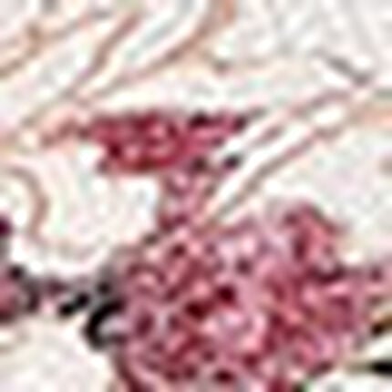 ３／４カップブラ（ノンワイヤーブラ）, , swatch