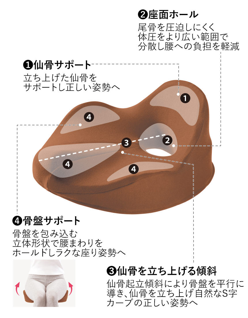 ワコール／ラブボディ 仙骨クッション仙律 HVA029｜ワコール直営の公式