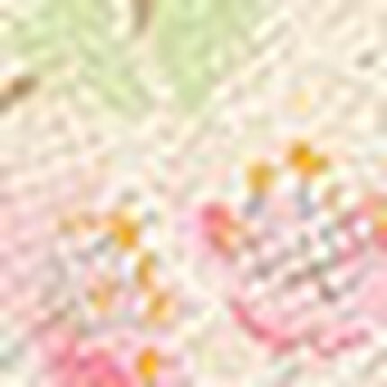 ノンワイヤーブラ, , swatch