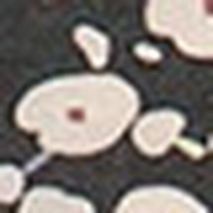 トップス（長袖）, , swatch