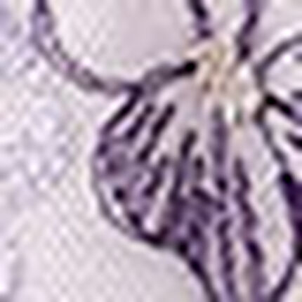 ショーツ, , swatch