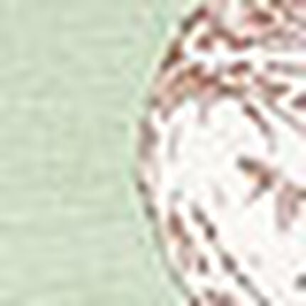 ノンワイヤーブラ, , swatch