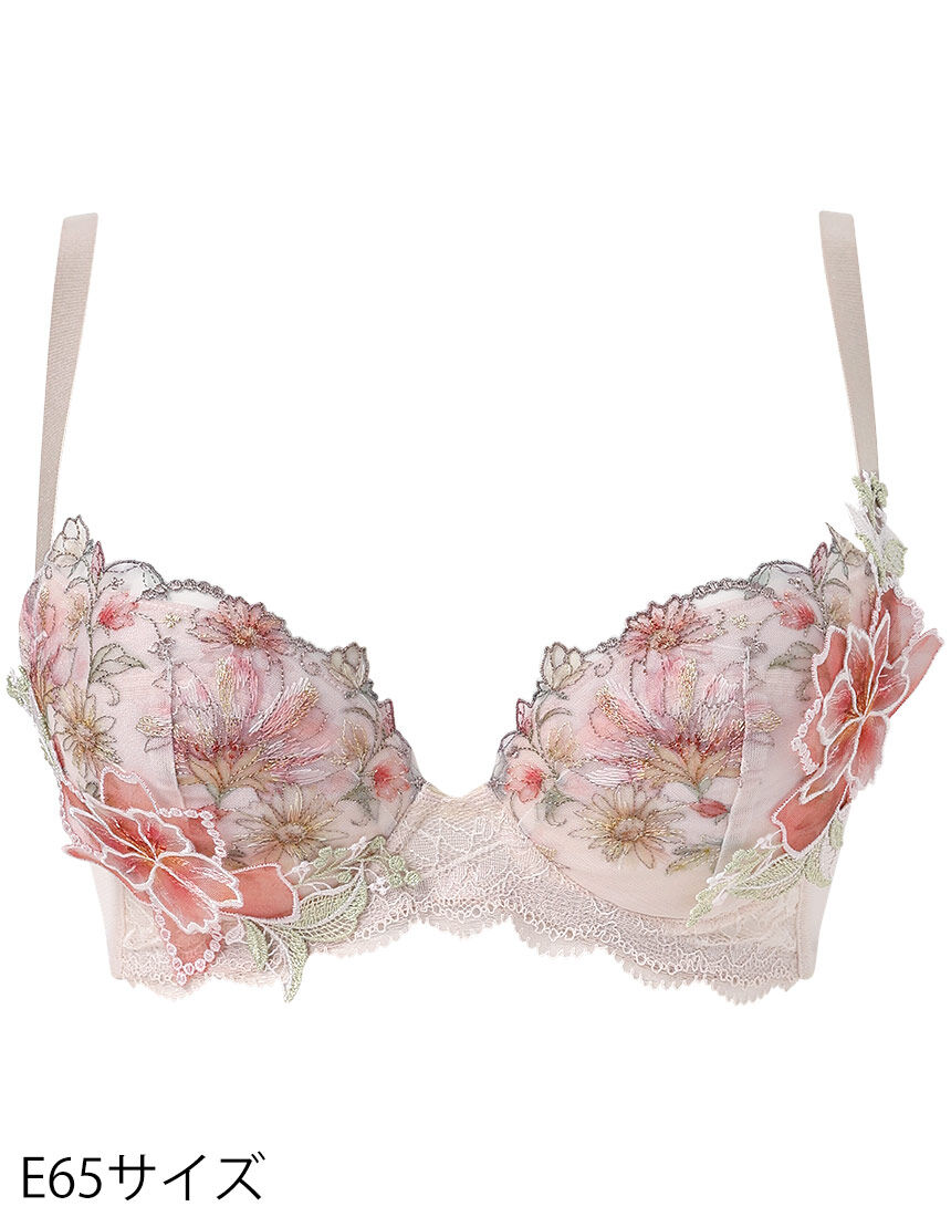 ワイヤーブラ（３／４カップ）, , hi-res