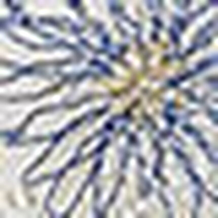 ショーツ, , swatch