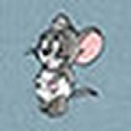 Ｔシャツ, , swatch