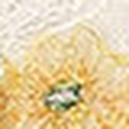 ショーツ, , swatch