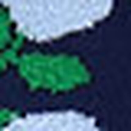 ボトムス（足首丈）, , swatch