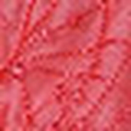 Ｔバックショーツ, , swatch