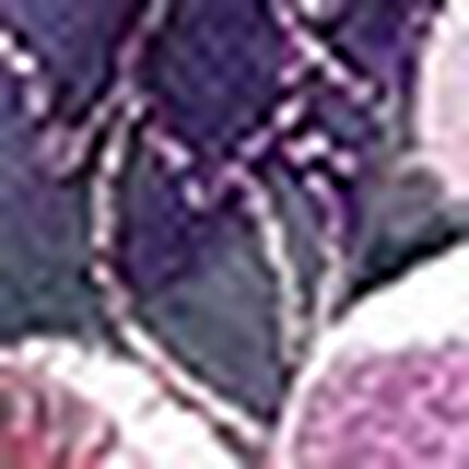 ガーターベルト, , swatch