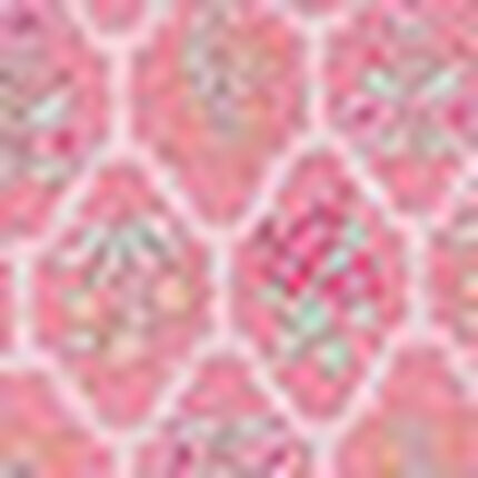 パジャマ, , swatch