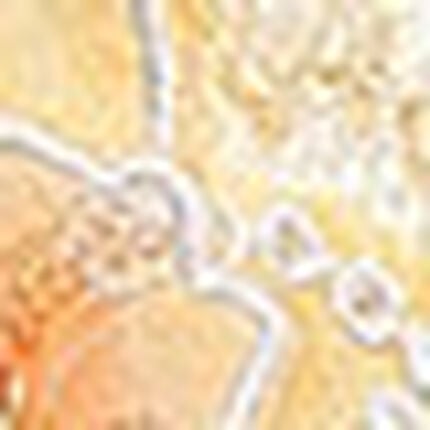 ワイヤーブラ（３／４カップ）, , swatch