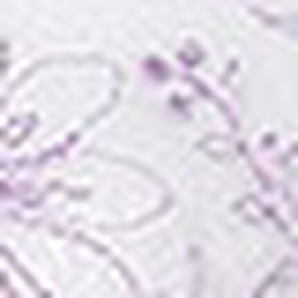 ブラ＆ショーツセット, , swatch