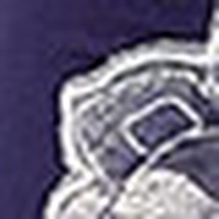 ボーイレングスショーツ, , swatch