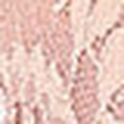 ３／４カップブラ, , swatch